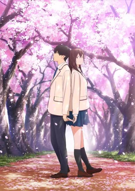 Cover art for Kimi no Suizou wo Tabetai