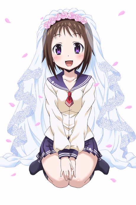 Cover art for Okusama ga Seitokaichou!