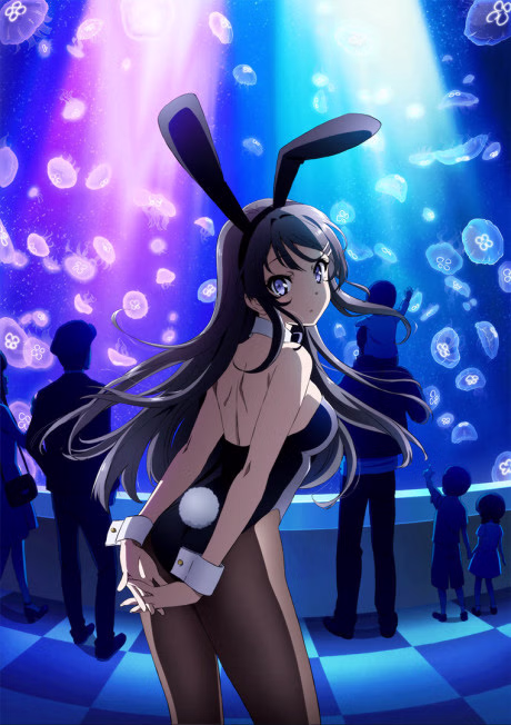 Cover art for Seishun Buta Yarou wa Bunny Girl Senpai no Yume wo Minai
