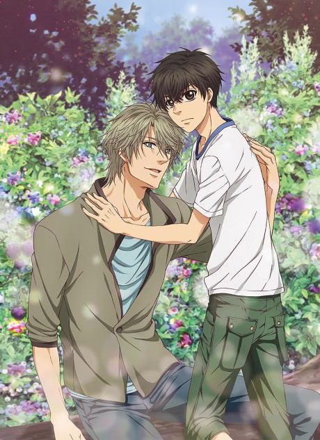 Cover art for Super Lovers 2