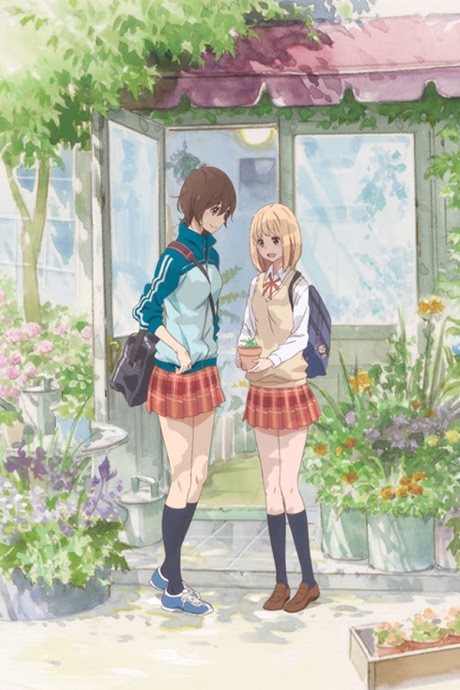 Cover art for Asagao to Kase-san.