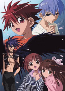 Cover art for D.N.Angel